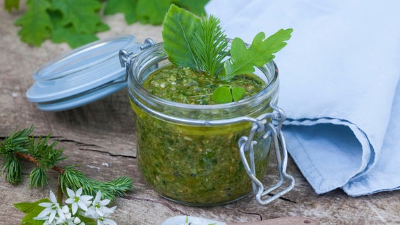 Waldpesto aus Blättern, Nadeln und Früchten aus dem Wald mit Olivenöl und Parmesan