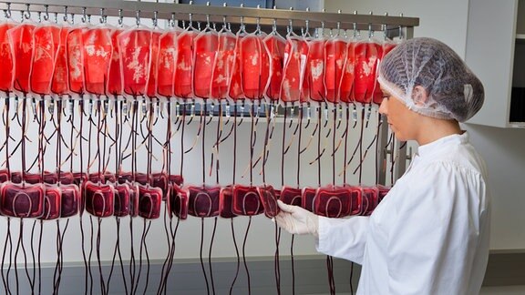 Eine Ärztin untersucht im Blutlabor die gespendeten Blutkonserven