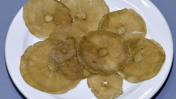 Quallenchips
