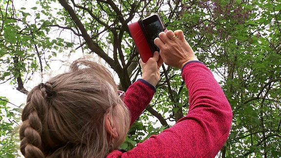 Eine Frau fotografiert einen Baum.