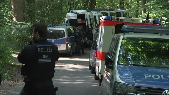 Viele Einsatzfahrzeuge stehen in einem Wald.