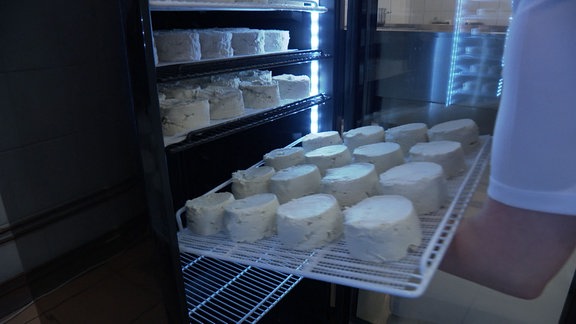 Käse auf Blech wird in Kühlschrank gestellt.