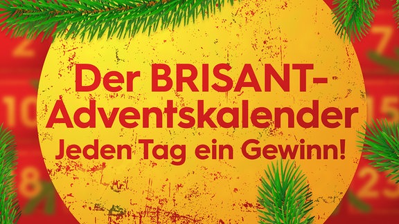 Der Brisant Adventskalender
