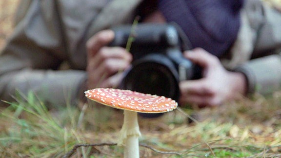 Ein Fotograf vor einem Fliegenpilz