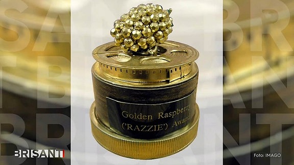 Brisant_Goldene_Himbeere