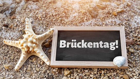Schild mit Aufschrift Brückentag an einem Strand neben einem Seestern