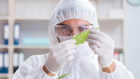 Chemiker arbeitet in Labor