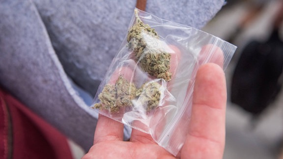 Im Bild wird ein Tütchen mit Cannabis gehalten.