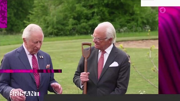 Szene aus Livestream MDR-Fernsehen