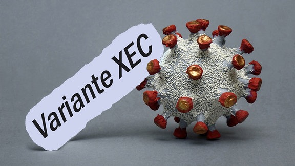 An einem Coronamodell befindet sich der Schriftzug Variante XEC.