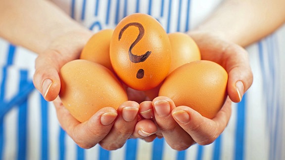 Was ist drin im Deutschen Frühstücksei? Zwei Hände voll Brauner Eier mit Fragezeichen.