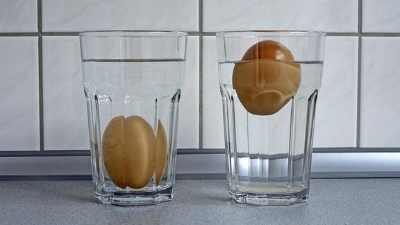 Eier im Frischetest im Wasserglas