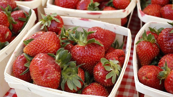 Erdbeeren
