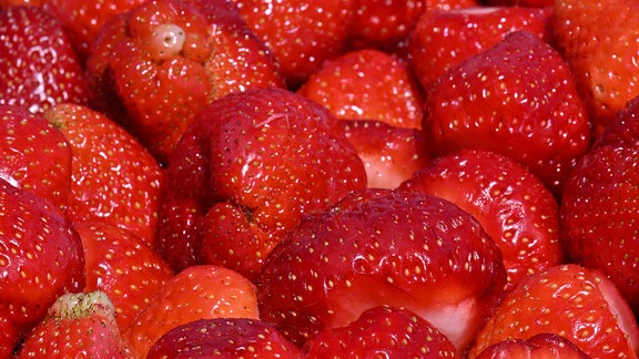 Erdbeeren