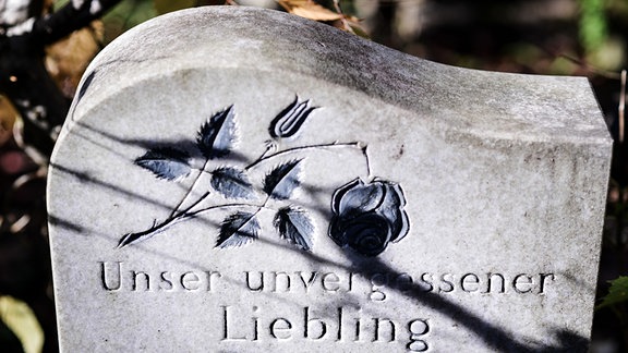 Auf einem Grabstein steht "Unser unvergessener Liebling".