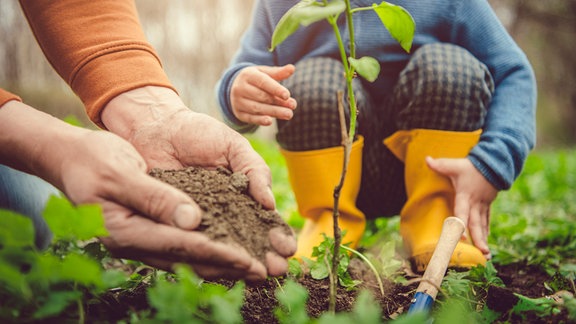 Kleiner Junge und sein Vater arbeiten im Frühling im Garten.