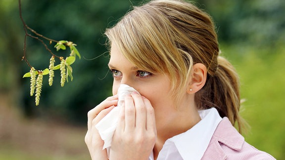 Frau mit Pollenallergie schneutzt ihre Nase vor der Blüte der Gemeinen Hainbuche.