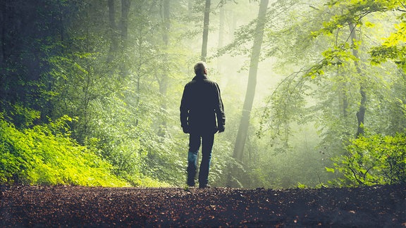 Mann geht Waldweg entlang