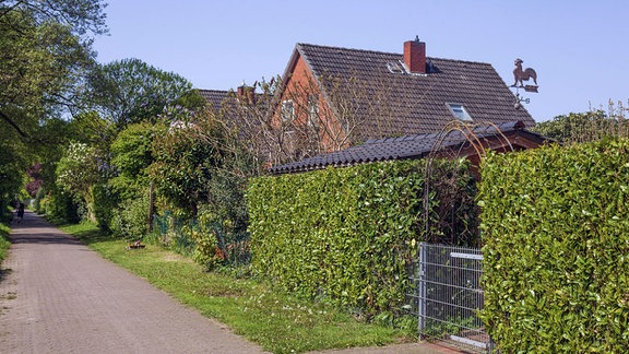 Einfamilienhaus mit Gartenhecke
