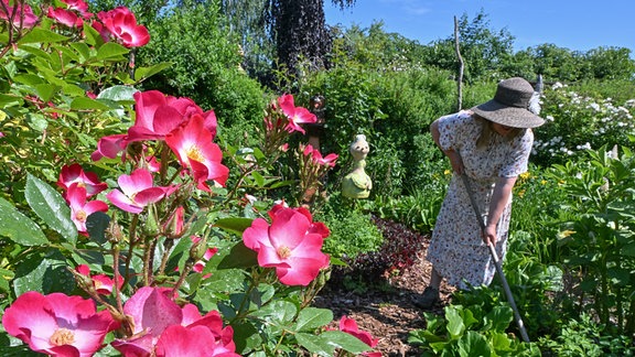 Undine Gomille, Künstlerin und Hobbygärtnerin, arbeitet in ihrem Garten.