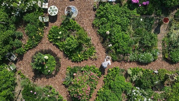 Undine Gomille, Künstlerin und Hobbygärtnerin, arbeitet in ihrem Garten (Luftaufnahme mit einer Drohne). 