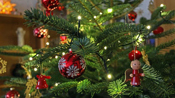 Ein Weihnachtsbaum steht geschmückt in einem Wohnzimmer.