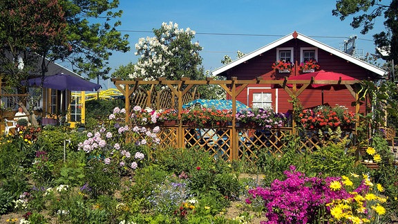 Kleines Gartenhaus zwischen bunt blühenden Blumen.