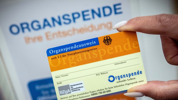 Ein Organspendeausweis, aufgenommen im Gesundheitsministerium, vor der Vorstellung eines Neuen Online-Registers für Erklärungen von Bürgerinnen und Bürgern zur Organspendebereitschaft. 