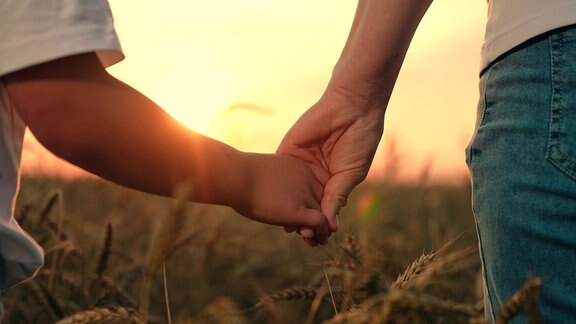 Die Hände von Kind und Mutter im Sonnenuntergang