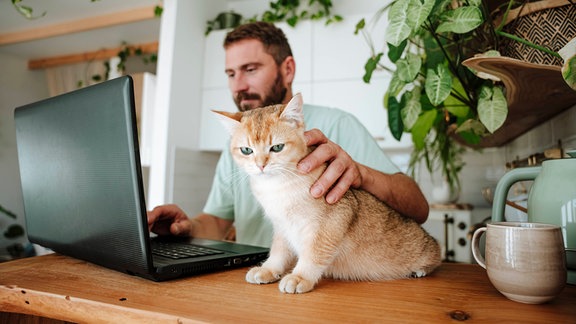 Mann im Home Office mit Katze