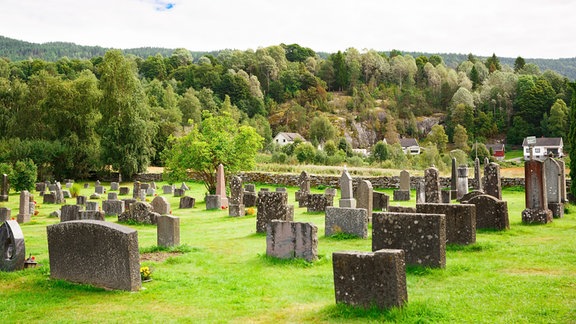 Friedhof