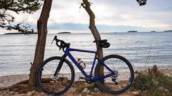 Ein blaues Fahrrad (Schotterfahrrad) lehnt an einem Baum an einem See.