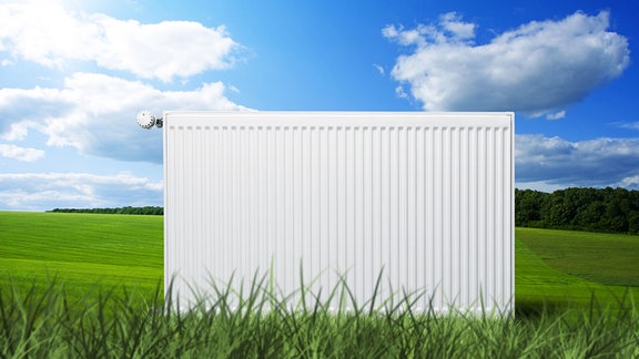 Radiator auf grüner Wiese