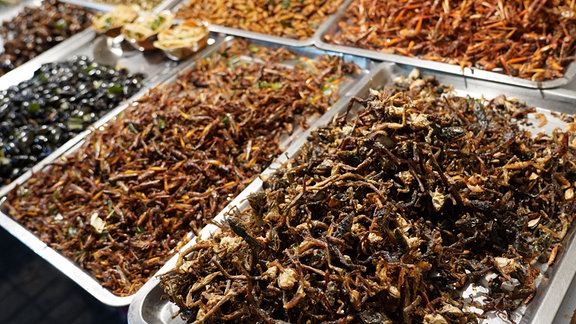 Gebratene Käfer und Insekten