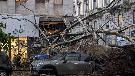 Ein umgestürzter Baum nach starkem Wind und Regen in Mailand auf einem Auto.