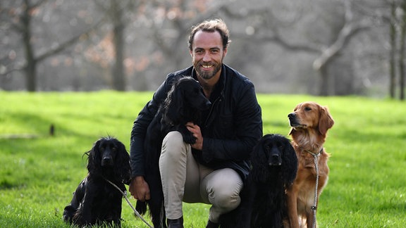James Middleton hockt zwischen Hunden.