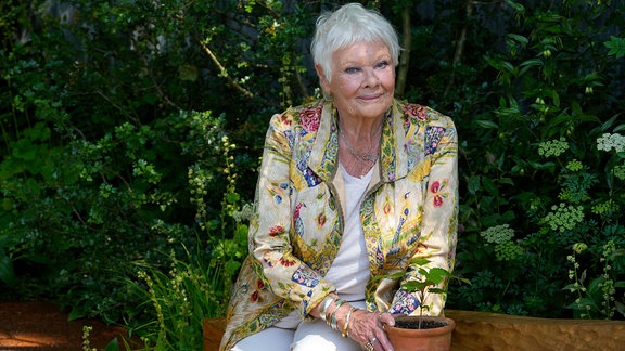 Dame Judi Dench hält einen Setzling des Sycamore Gap-Baums im Octavia Hill Garden von Blue Diamond mit dem National Trust auf der Chelsea Flower Show in London, Montag, 20. Mai 2024.