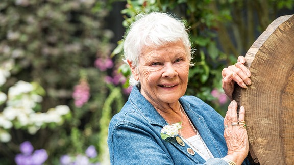 Portrait der Schauspielerin Judi Dench