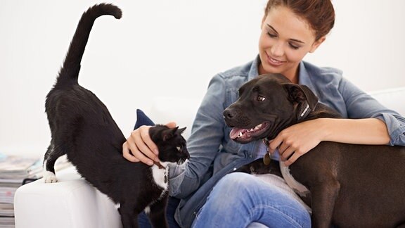Eine junge Frau sitzt mit einer Katze und einem Hund auf einem Sofa.