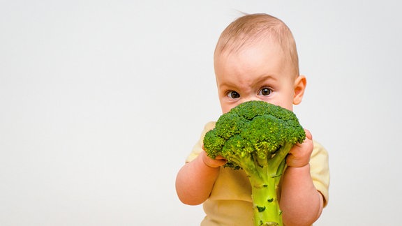 Ein Baby beißt in Brokkoli