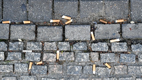 Zahlreiche auf den Boden geworfene Zigarettenstummel liegen zwischen Pflastersteinen.
