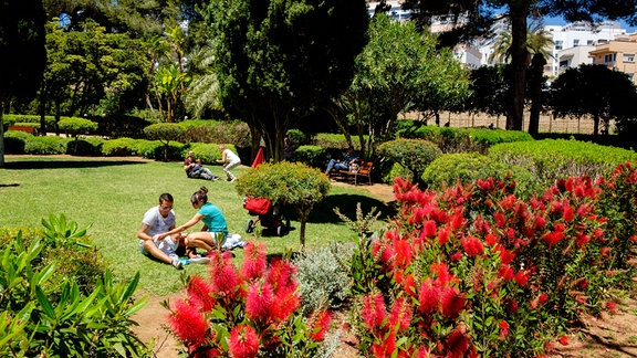 Der jardines de Marivent in Palma