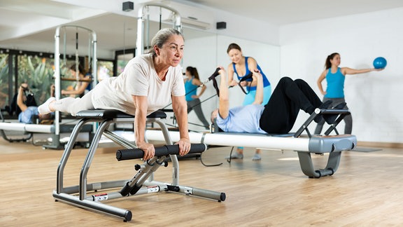 Muskeltraining Krafttraining Frauen