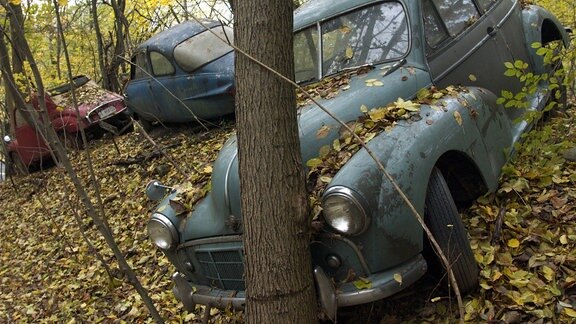 Oldtimer-Wracks im Autoskulpturenpark im Neandertal