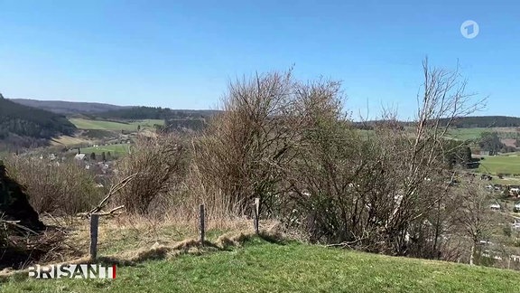 Szene aus Livestream MDR-Fernsehen