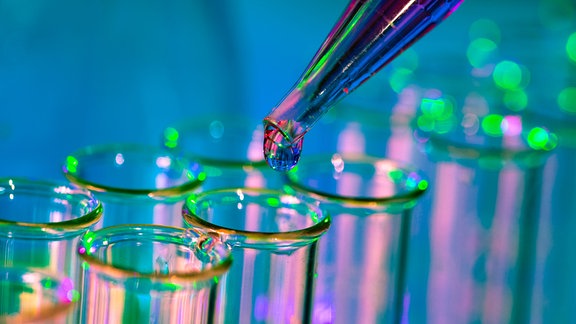 Pipette mit einer Flüssigkeit