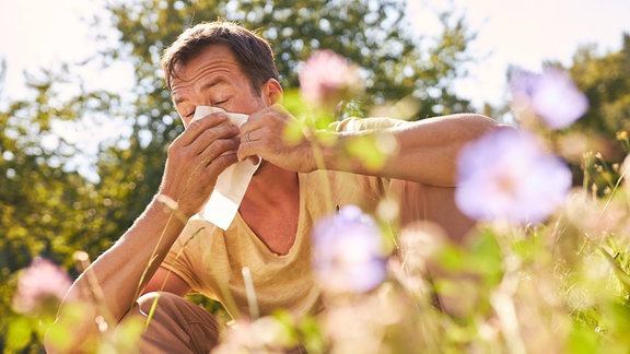 Mann beim Niesen in Taschentuch in einer blühenden Sommerwiese