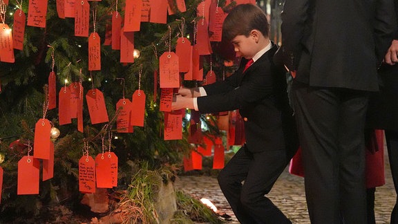 Prinz Louis betrachtet die Botschaften auf dem "Freundschaftsbaum" vor dem "Together At Christmas"-Gottesdienst in der Westminster Abbey.