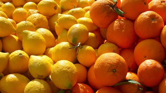 Orangen und Zitronen