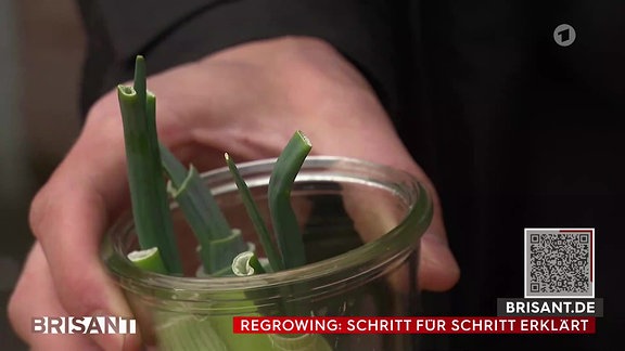 Szene aus Livestream MDR-Fernsehen